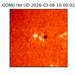 gong - 2026-03-06T10:00:02