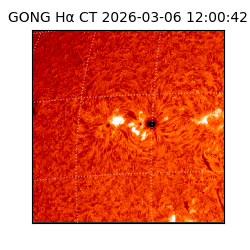 gong - 2026-03-06T12:00:42