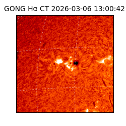 gong - 2026-03-06T13:00:42