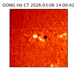 gong - 2026-03-06T14:00:42