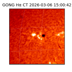 gong - 2026-03-06T15:00:42