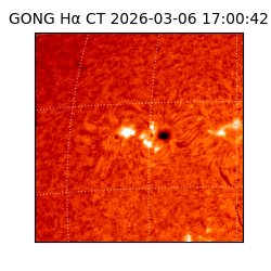 gong - 2026-03-06T17:00:42