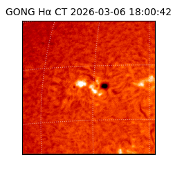 gong - 2026-03-06T18:00:42