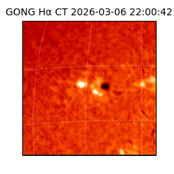 gong - 2026-03-06T22:00:42