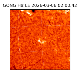 gong - 2026-03-06T02:00:42