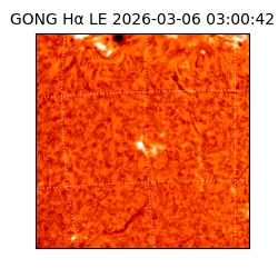 gong - 2026-03-06T03:00:42