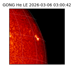 gong - 2026-03-06T03:00:42