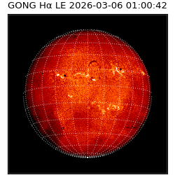 gong - 2026-03-06T01:00:42