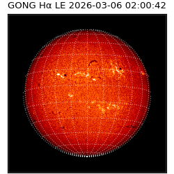 gong - 2026-03-06T02:00:42