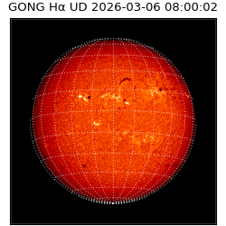 gong - 2026-03-06T08:00:02