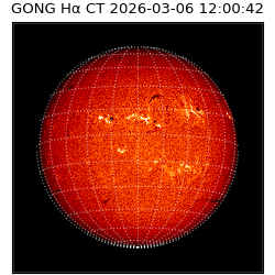 gong - 2026-03-06T12:00:42