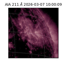 saia - 2026-03-07T10:00:09.630000