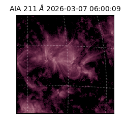 saia - 2026-03-07T06:00:09.629000