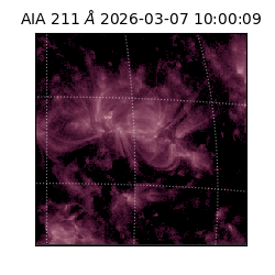 saia - 2026-03-07T10:00:09.630000