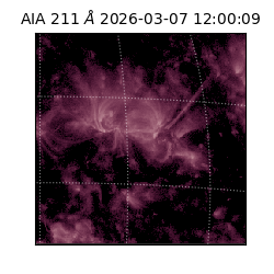 saia - 2026-03-07T12:00:09.630000