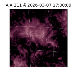 saia - 2026-03-07T17:00:09.629000