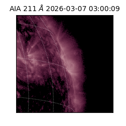 saia - 2026-03-07T03:00:09.629000