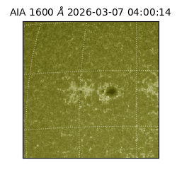 saia - 2026-03-07T04:00:14.130000