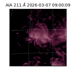 saia - 2026-03-07T09:00:09.624000