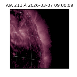 saia - 2026-03-07T09:00:09.624000