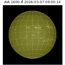 saia - 2026-03-07T09:00:14.124000