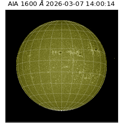 saia - 2026-03-07T14:00:14.123000