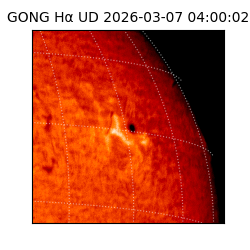 gong - 2026-03-07T04:00:02