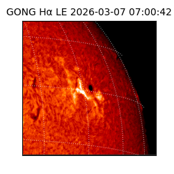 gong - 2026-03-07T07:00:42