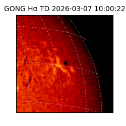 gong - 2026-03-07T10:00:22