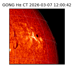 gong - 2026-03-07T12:00:42