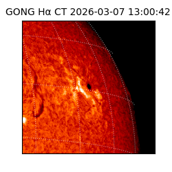 gong - 2026-03-07T13:00:42