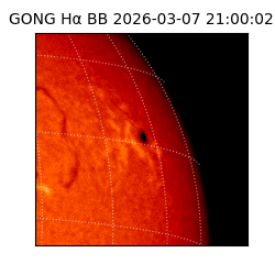 gong - 2026-03-07T21:00:02