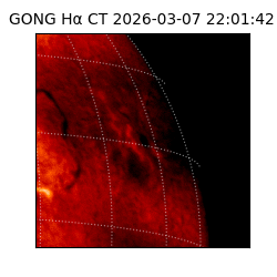 gong - 2026-03-07T22:01:42