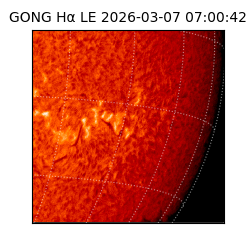gong - 2026-03-07T07:00:42