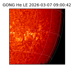 gong - 2026-03-07T09:00:42