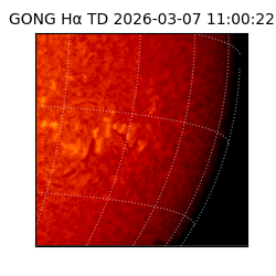 gong - 2026-03-07T11:00:22