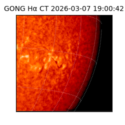 gong - 2026-03-07T19:00:42