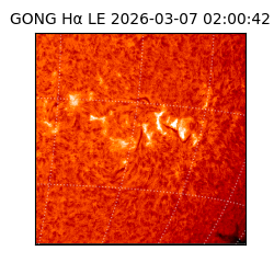 gong - 2026-03-07T02:00:42