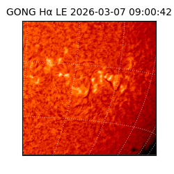 gong - 2026-03-07T09:00:42