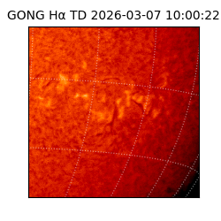 gong - 2026-03-07T10:00:22