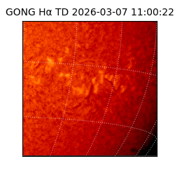 gong - 2026-03-07T11:00:22