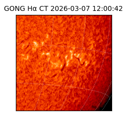 gong - 2026-03-07T12:00:42