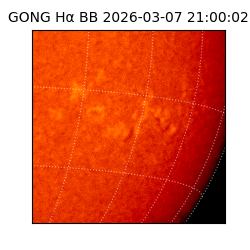 gong - 2026-03-07T21:00:02