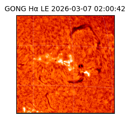 gong - 2026-03-07T02:00:42