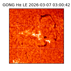 gong - 2026-03-07T03:00:42