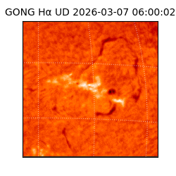 gong - 2026-03-07T06:00:02