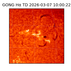 gong - 2026-03-07T10:00:22