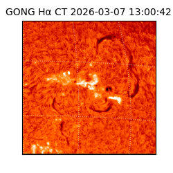 gong - 2026-03-07T13:00:42