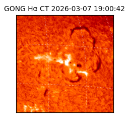 gong - 2026-03-07T19:00:42