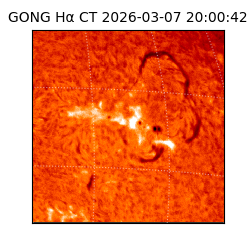 gong - 2026-03-07T20:00:42